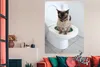 MuchoWow® Poster Eine birmanische Katze sitzt auf der Produktbild-Vorschau 3