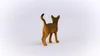 Schleich schleich® Farm World 13964 Abessinierkatze Produktbild-Vorschau 9