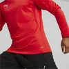 Puma Teamgoal Trainingssweat Herren - Rot Produktbild-Vorschau 7