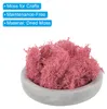 1.8 OZ Kunstmoos Konserviertes Rentiermoos Kš¹nstliches Produktbild-Vorschau 2