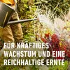 Gartendünger COMPO  Blaudünger 4 kg, Universaldünger Produktbild-Vorschau 8