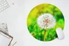 MuchoWow® Mauspad Mousepad Löwenzahn - Gras - Blume 50x50 Produktbild-Vorschau 5