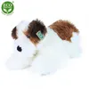 A plush dog toy lying down on a white background. Produktbild-Vorschau