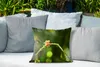 MuchoWow® Outdoor Kissen - Frosch - Äste - Grün - 40x40 cm Produktbild-Vorschau 4