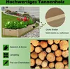 A raised garden bed made of wood, filled with plants, surrounded by gravel and grass, with close-ups of wood grain and stacked logs. Podgląd zdjęcia produktu
