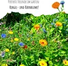 Ringelblumen Samen (Calendula Officinalis) - Vielseitige Produktbild-Vorschau 3