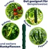 Pflanzstab Rankenhilfe Stahl mit Kunststoff Ummantelung Produktbild-Vorschau 2