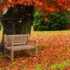 CLP Teakbank Jackson V2 Gartenbank mit Rückenlehne Produktbild-Vorschau 5