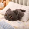 UNUS Plüschtier Kuscheltier Katze "Mokka" 40cm grau Produktbild-Vorschau 4