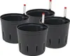 Kulturtopf 15/12 mit WA II/12er 4er-Pack Produktbild-Vorschau 4