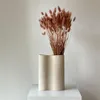 Lagurus Hasenschwanz Samtgras Trockenblumen 60-70cm DIY Produktbild-Vorschau 8