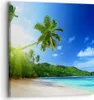 Bild auf Leinwand - Leinwandbild - Baum Dschungel Welle Produktbild-Vorschau 1