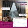 A couple is reading a book on a couch in front of a window with dark curtains. The scene depicts a cozy indoor setting with a view of a rainy street outside. Produktbild-Vorschau