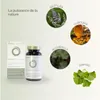 Resilovit Pre Period – 60 gélules | Vitamines & extraits Voir les images du produit 5