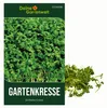 Gartenkresse Einfache Grüne Samen - Lepidium sativum - Produktbild-Vorschau 1