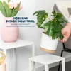 bremermann Lot de 4 tabourets à fleurs, présentoir à fleurs Voir les images du produit 5