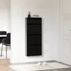 A black shoe cabinet mounted on a white wall in a hallway, with a rug and slippers on the floor. Voir les images du produit