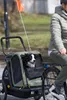 Hamax Pluto M Hundeanhänger Produktbild-Vorschau 14