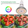A collage showing a grow light bulb and two images of strawberries under different lighting conditions. Anteprima dell’immagine prodotto