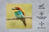 MuchoWow® Mauspad Mousepad Vogel - Bienenfresser - Tiere Produktbild-Vorschau 2
