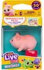Little Live Pets Needees : Jouet interactif pour animaux de Voir les images du produit 26