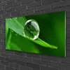 Acrylglasbilder 100x50 Wandbild Druck Blatt Wassertropfen Produktbild-Vorschau 2