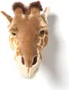 Ruby La Girafe Plüsch Trophäe Produktbild-Vorschau 4