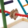 A close-up view of a bird toy, showing a red rope passing through a wooden disc attached to a green pole. Náhled obrázku produktu