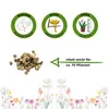 Mangold Lucullus Samen - Beta vulgaris - Mangoldsamen - Produktbild-Vorschau 2