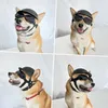 A collage of four images showing a dog wearing a helmet and goggles. Produktbild-Vorschau