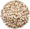 ORZECHY PINIOWE 200g Orzeszki pini orzech naturalne świeże Podgląd zdjęcia produktu 5