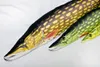 GABY Kissen Kuscheltier Fisch Stofftier Plüschtier Produktbild-Vorschau 4