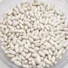 Nasiona fasoli wielokwiatowej do suchych warzyw Duże Podgląd zdjęcia produktu 11