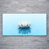 Acrylglasbilder 120x60 Wandbild Druck Blume Pflanzen Produktbild-Vorschau 2