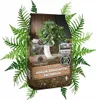 A bag of soil for houseplants surrounded by ferns. Produktbild-Vorschau