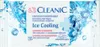 Chłodzące Chusteczki Nawilżane Cleanic Ice Cooling 15 Sztuk Podgląd zdjęcia produktu 1