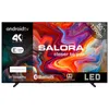Salora SMART55TV, 139,7 cm (55"), 3840 x 2160 pixelov, LED, Náhľad obrázku produktu 1