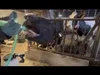 Vynikajúci drén na kravy s vŕtačkou Náhľad obrázku produktu 3