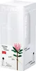 SL96109 - Pfingstrose in Vase Produktbild-Vorschau 5