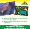 Neudorff Neudomon PflaumenmadenFalle Nachfüllpack 1 Stk. Produktbild-Vorschau 4