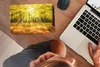 MuchoWow® Mauspad Mousepad Baum - Natur - Sonne - Produktbild-Vorschau 3