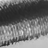 com-four® Flaschenkühler - Sektkühler - Eiswürfelkühler aus Produktbild-Vorschau 4