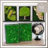 Cornice 3D profonda 35x45 cm per creazioni con muschio per Anteprima dell’immagine prodotto 5