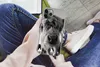 MuchoWow® Handyhülle Schutzhülle Hülle für iPhone 11 Pro Produktbild-Vorschau 3