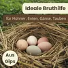 Nesteier Aus Gips Künstliche Bruteier Legeeier Kunsteier Produktbild-Vorschau 3