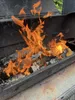 Nach 20-25min könnte Ihr Holz in diesem Umfang brennen. Verwendetes Holz (Buche 25% Restfeuchte). Produktbild-Vorschau