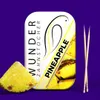 Wunder Zahnstocher - Zahnstocher mit Geschmack Ananas (md) Produktbild-Vorschau 11