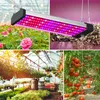 A collage of images showing a grow light and various plants in a greenhouse setting. Produktbild-Vorschau