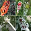 Cueilleur de fruits en plastique Tête de cueilleur de Voir les images du produit 6
