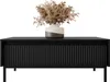 A black coffee table with a vase of dried flowers on top, set against a white background. Náhled obrázku produktu
